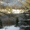 cjaneski1122